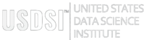USDSI Logo